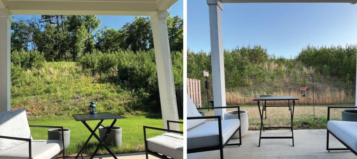 Groaning with Creation in&nbsp;Lent